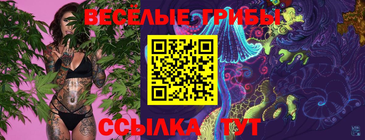 Галлюциногенные грибы мухоморы  Псилоцибиновые грибы Magic Shrooms  Артёмовский  как найти   Вход с VPN 