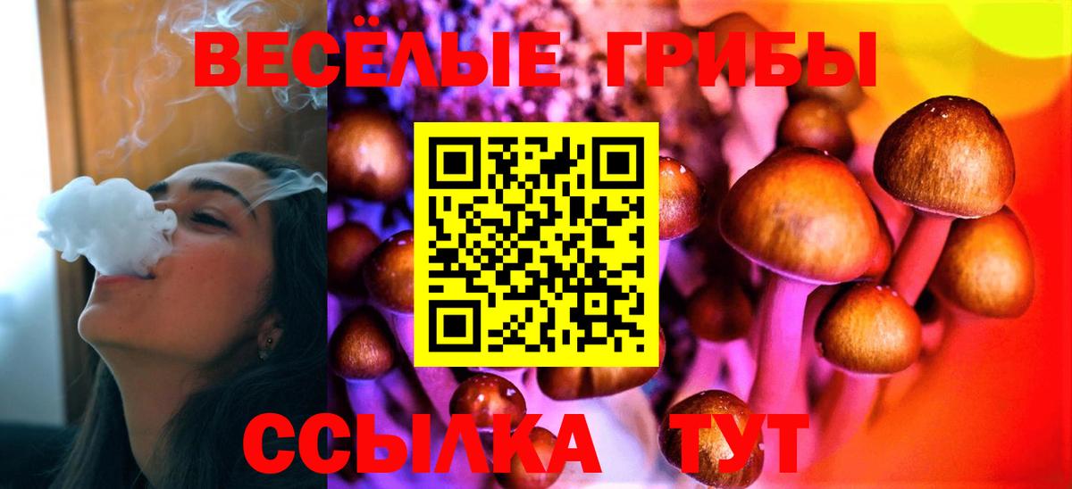 Псилоцибиновые грибы мицелий Артёмовский